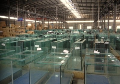 三顧定位咨詢與睿美水族簽約，共繪水族產業品牌新藍圖